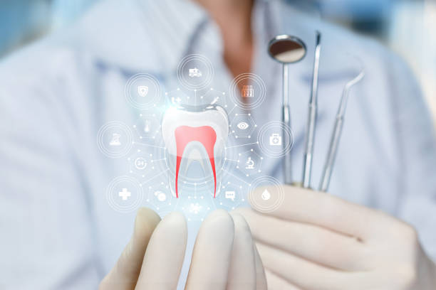 Best Full Mouth Reconstruction  in Fort Lee, NJ